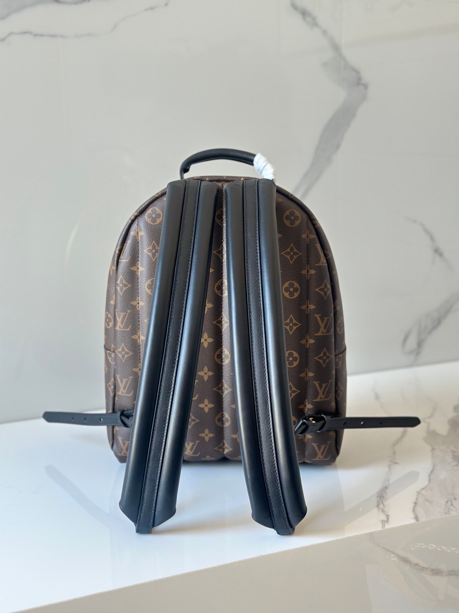 LOUIS VUITTON Palm Springs MM モノグラム バックパック ルイヴィトン