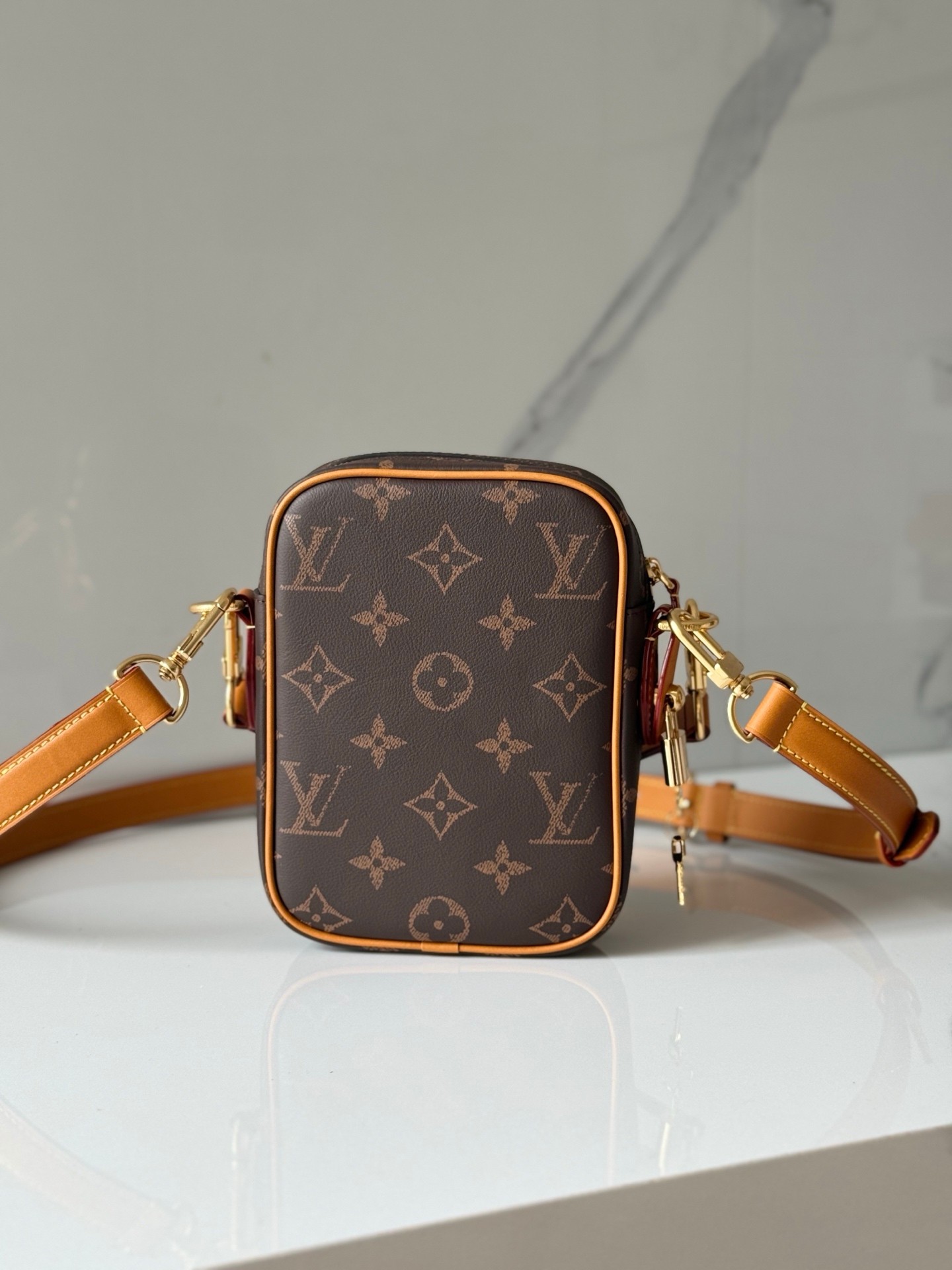 LOUIS VUITTON Danube モノグラムプリント スモールグレインレザー クロスボディバッグ ルイヴィトン