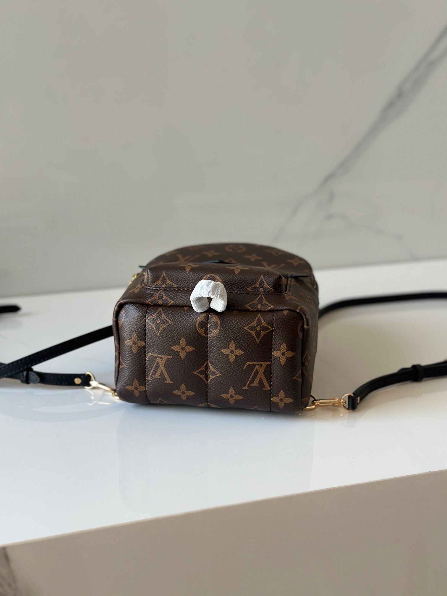 LOUIS VUITTON Palm Springs Mini モノグラム ミニバックパック ルイヴィトン
