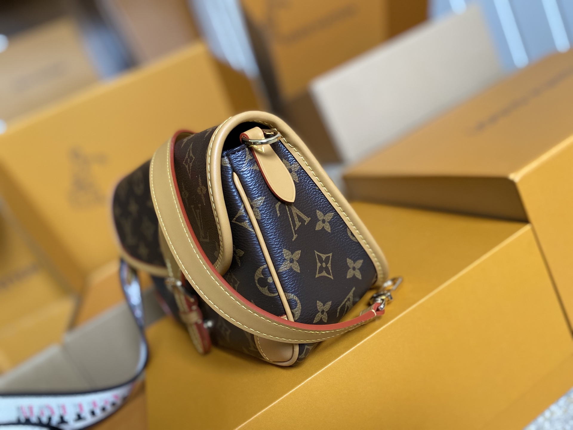 LOUIS VUITTON Diane モノグラムキャンバス クロスボディバッグ ルイヴィトン