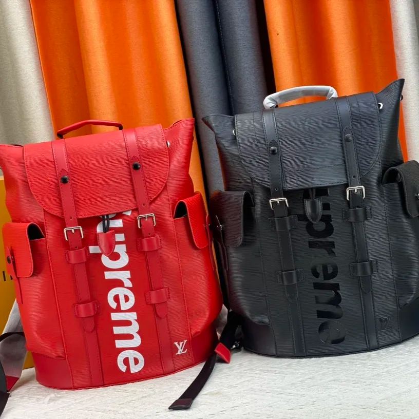 ★Louis Vuitton★多用途のクリストファー バックパック  N41379 M41709