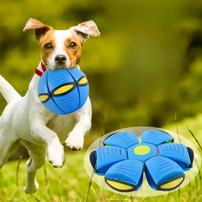 Kids Transforming UFO Disc Bouncing Ball Outdoor Sports Toy