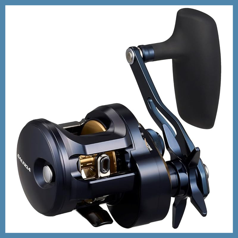 DAIWA SALTIGA Jigging Bait Reel Series 300 (2025 model)