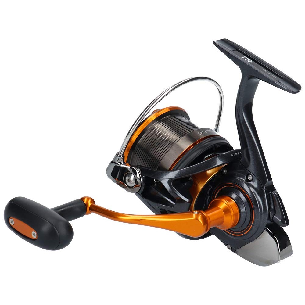 Daiwa Spinning Reel (Casting/Long Distance) 19 Castizm 25 15PE (2019 Model)