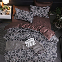 INS style 4-piece bedding set