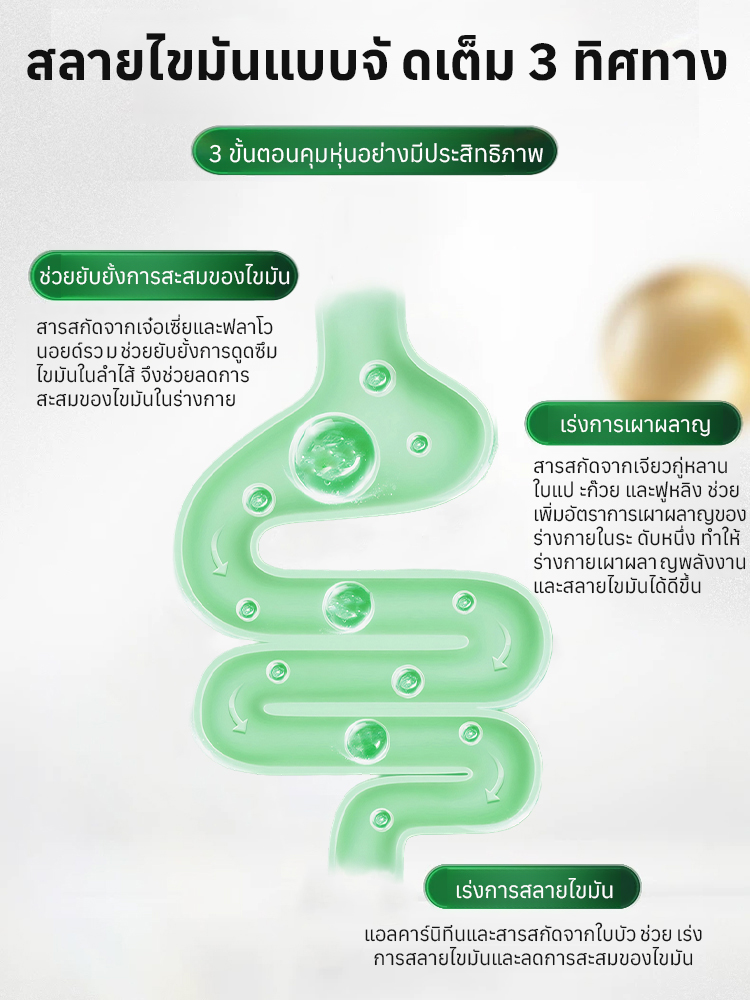 【3 วันลดน้ำหนัก 10 กิโลกรัม】แผ่นแปะเผาผลาญไขมันนาโน