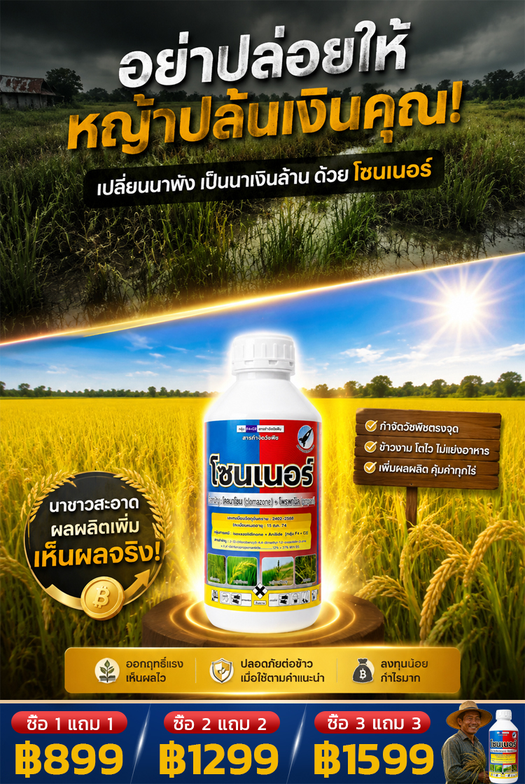 สารกำจัดวัชพืชในนาข้าว