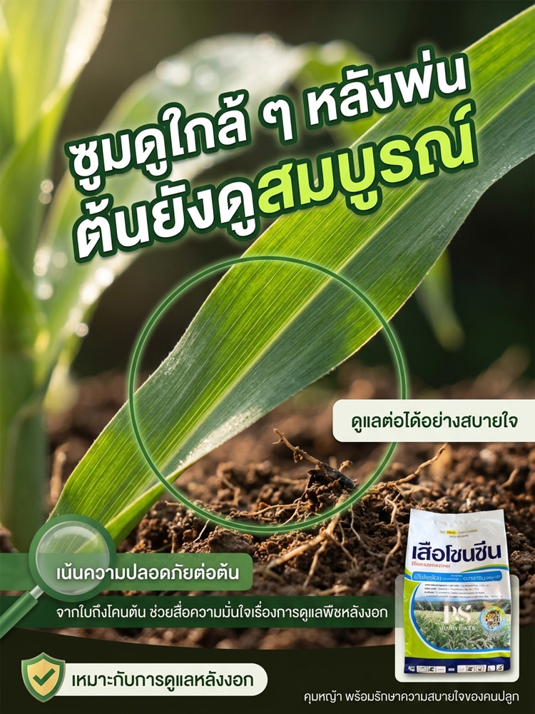 【ปลอดภัยไม่ทำลายต้นกล้า】ยากำจัดวัชพืชประสิทธิภาพสูง
