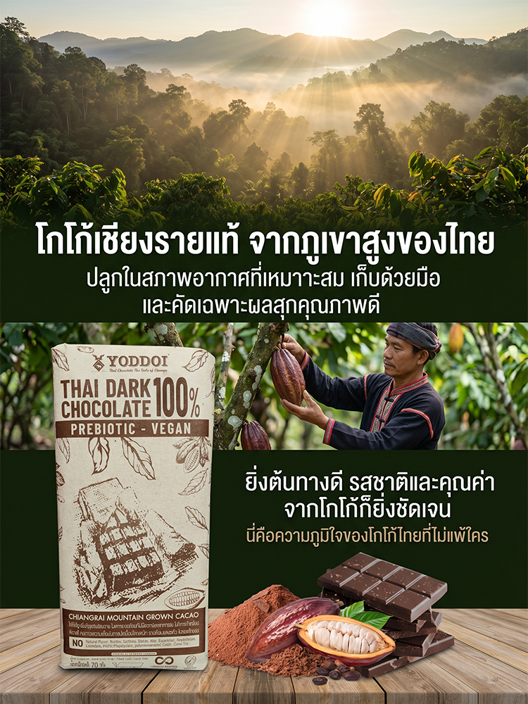 【0 น้ำตาล 0 ภาระ】 ช็อกโกแลตดำบริสุทธิ์ 100% จากเชียงราย