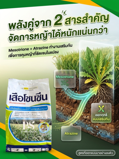 【ปลอดภัยไม่ทำลายต้นกล้า】ยากำจัดวัชพืชประสิทธิภาพสูง