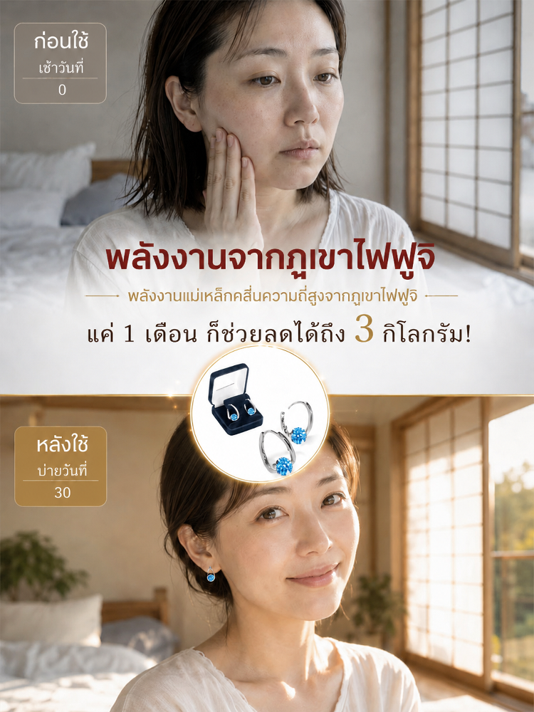 HFH-ต่างหูแม่เหล็กบำบัด - จังหวัดยามานาชิ บริเวณเชิงเขาฟูจิ