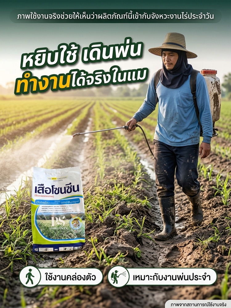【ปลอดภัยไม่ทำลายต้นกล้า】ยากำจัดวัชพืชประสิทธิภาพสูง