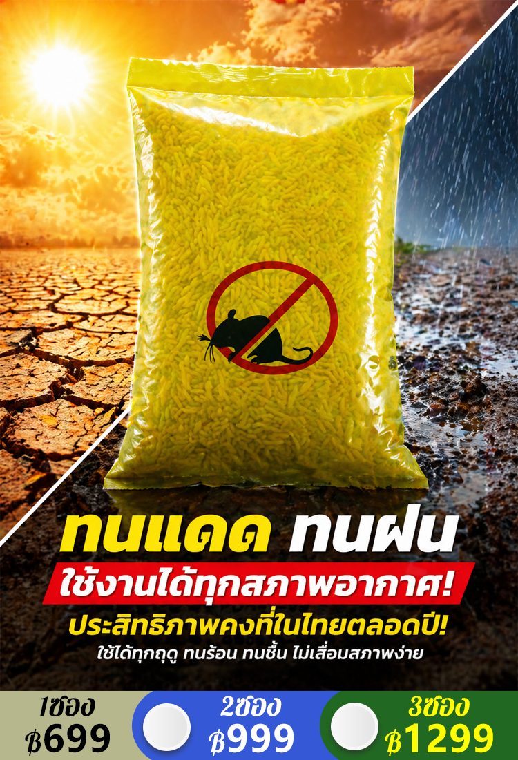 【ไร้นกหมื่นเมตร】เหยื่อล่อนก