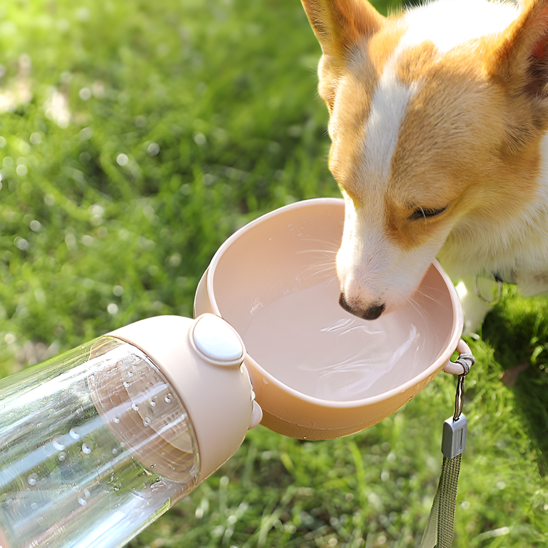 Travel-Friendly Pet Drinking Bottle 