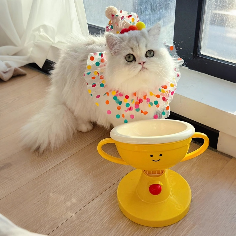 Adjustable Elevated Trophy Pet Bowl 