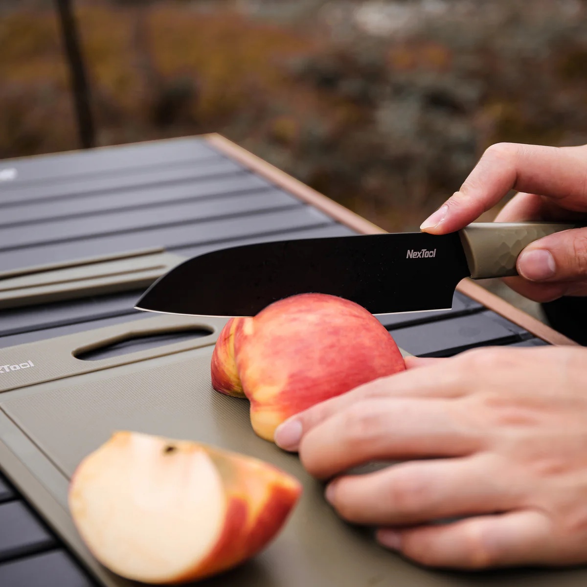 NEXTOOL Barbeque Tool Set