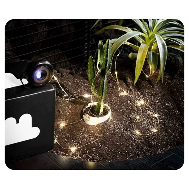 Blackdog Ambient String Canopy Light With Led Outdoor Tent Lights