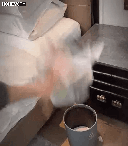 Honeycam 2026-03-02 10-09-53.gif