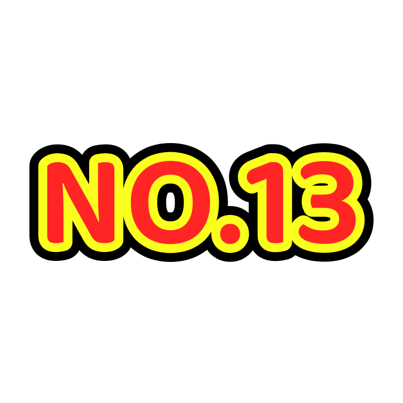 NO.13