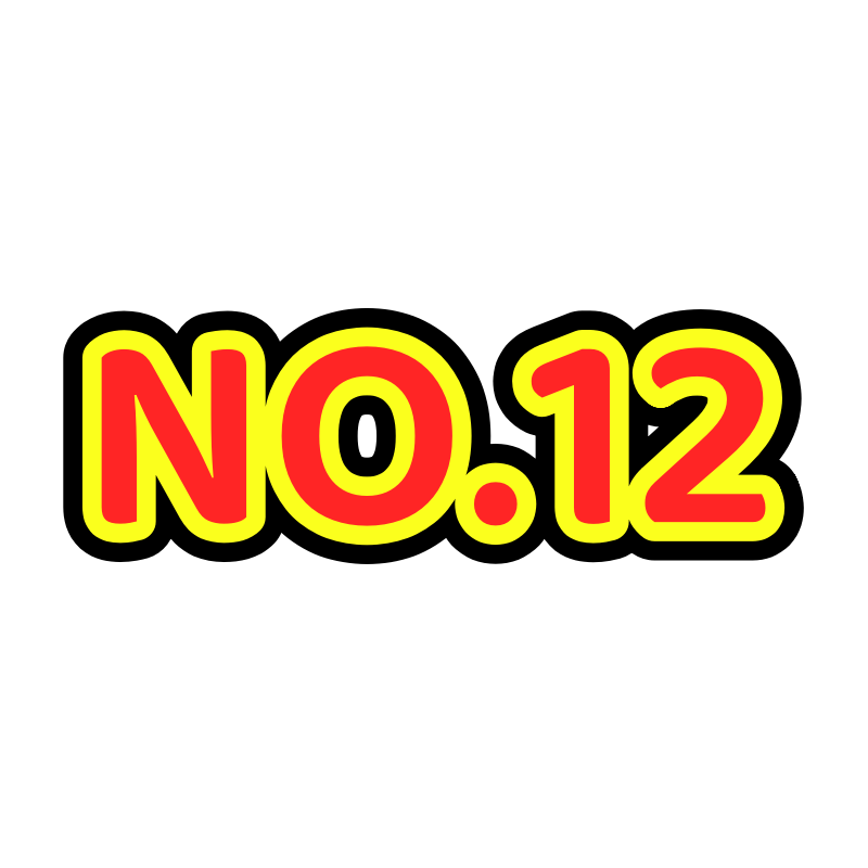 NO.12