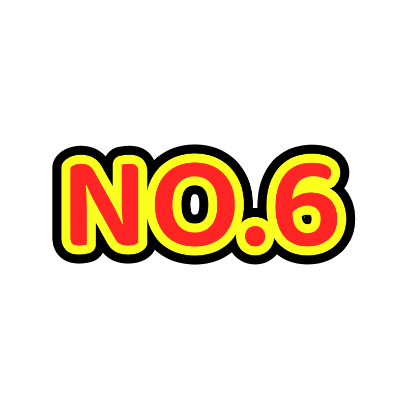 NO.6