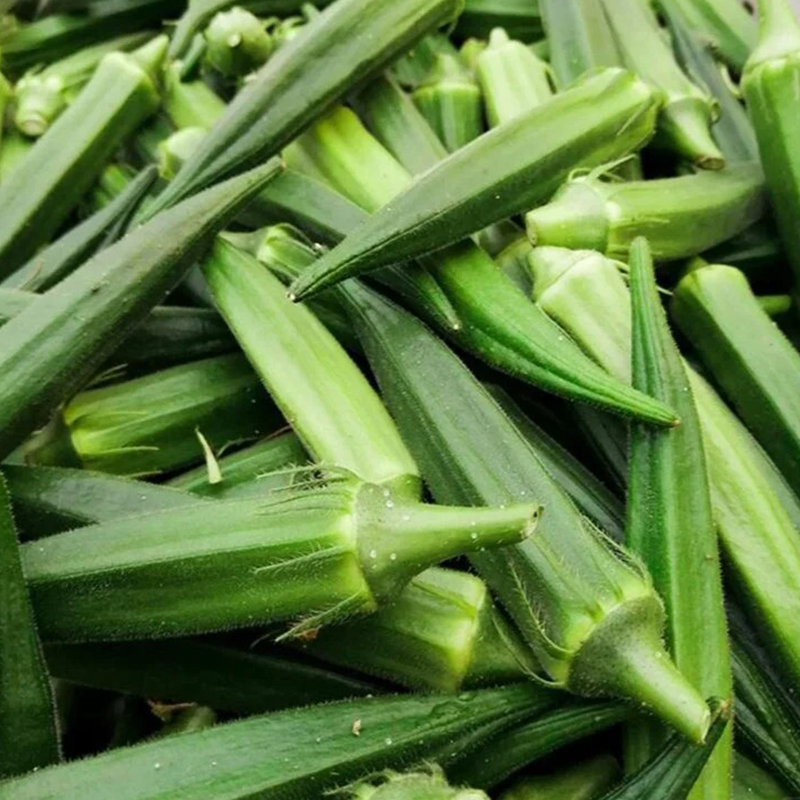 🥬High Yield Creamy Nutritious Okra-Seeds