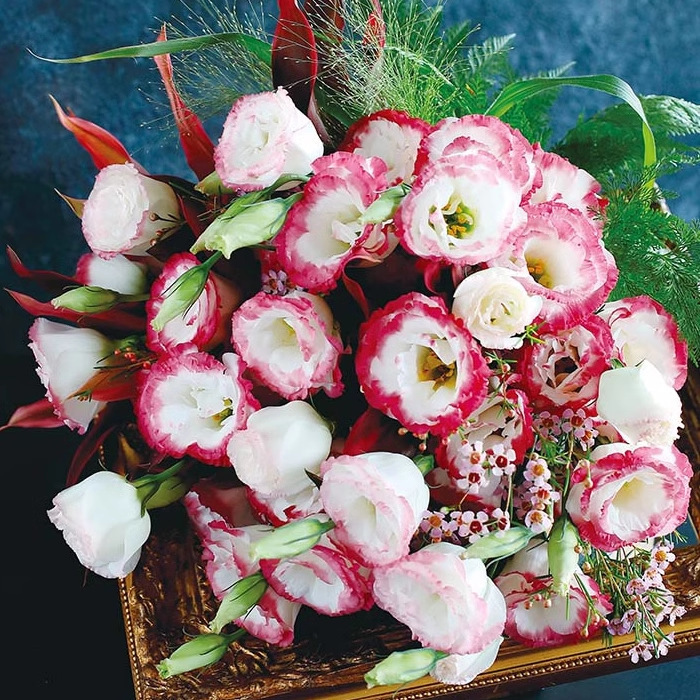 🔥Последен ден на продажба💝Eustoma Thornless Rose💐Семена от лизиантус