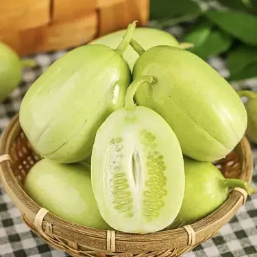 Uhorka – Zlatý chlapec, Dámska uhorka