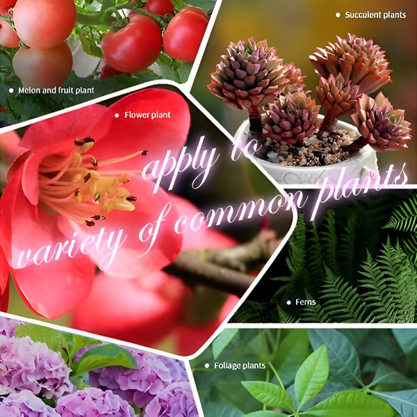 Бавно освобождаващ се органичен тор на таблетки | FERTIGROW