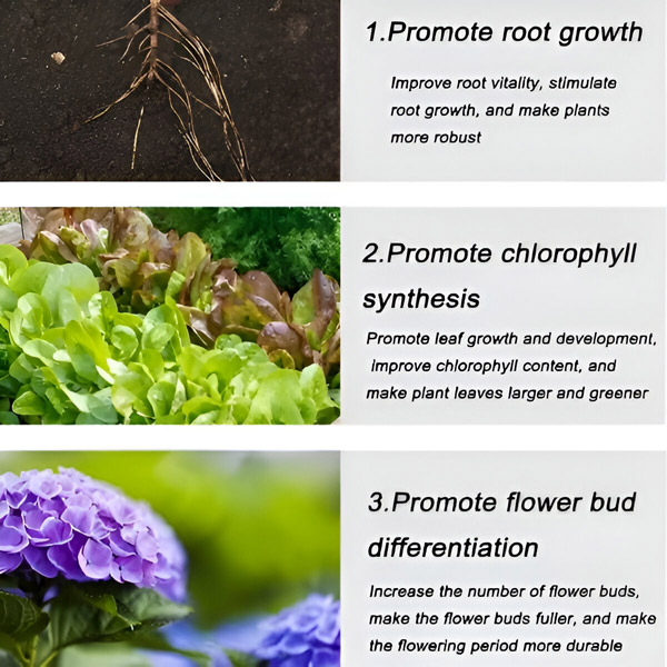 Бавно освобождаващ се органичен тор на таблетки | FERTIGROW