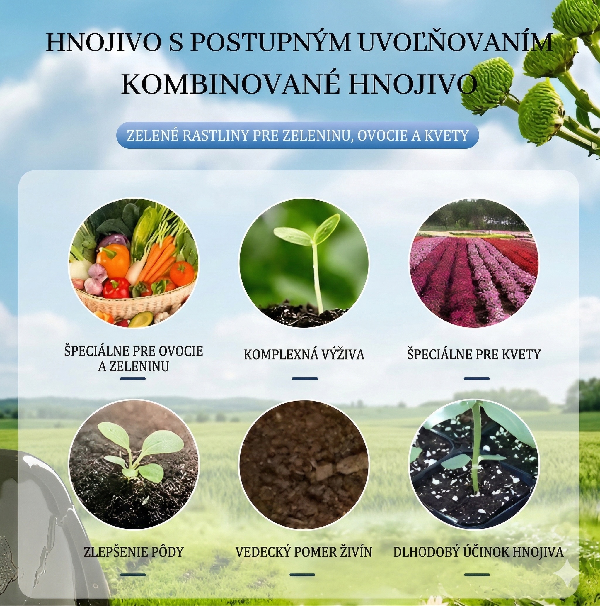 Organické hnojivo v tabletách s pomalým uvoľňovaním – Kompletná výživa pre vašu záhradu! 🌿