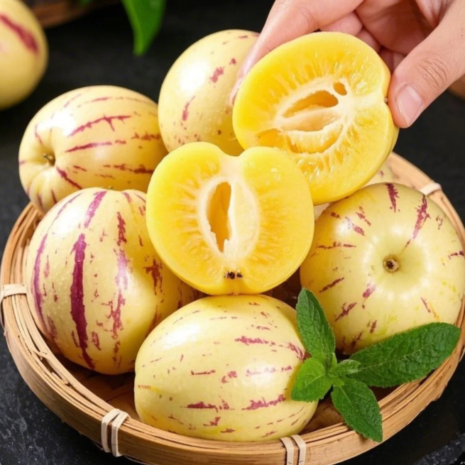 Ginseng Fruit Pepino Melon Seeds-Solanum Muricatum