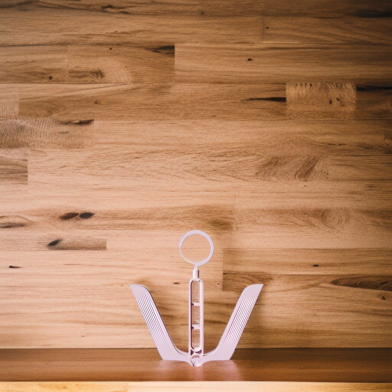 Pair of shoes neatly organized with hanging hooks