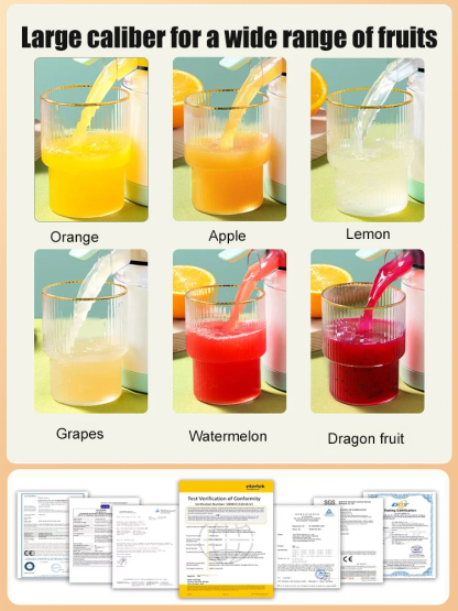 Fully automatic household electric juicer