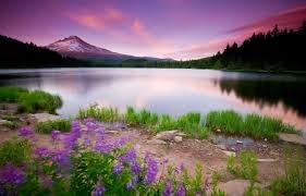 Automotive Ceramic Coating Nano Plating Agent