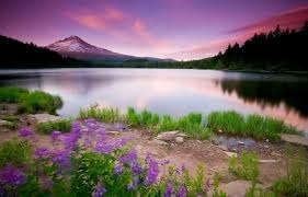 Automotive Ceramic Coating Nano Plating Agent