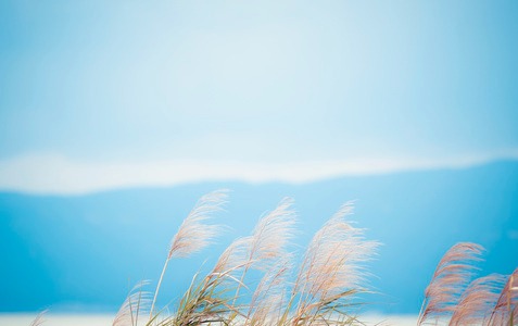 Automotive Ceramic Coating Nano Plating Agent