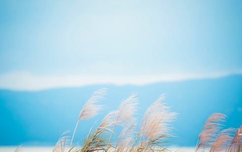 Automotive Ceramic Coating Nano Plating Agent