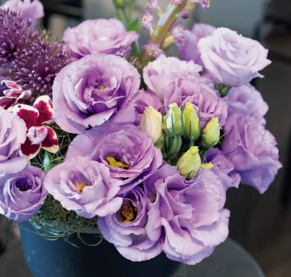 🌺 Лизиантус – Искрена любов