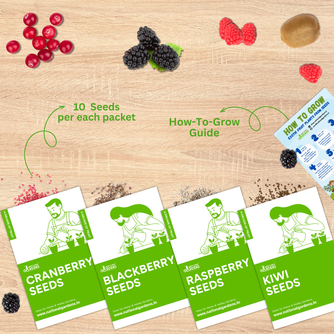 Екзотични плодови семена | Къпина, Малина, Червена боровинка, Киви