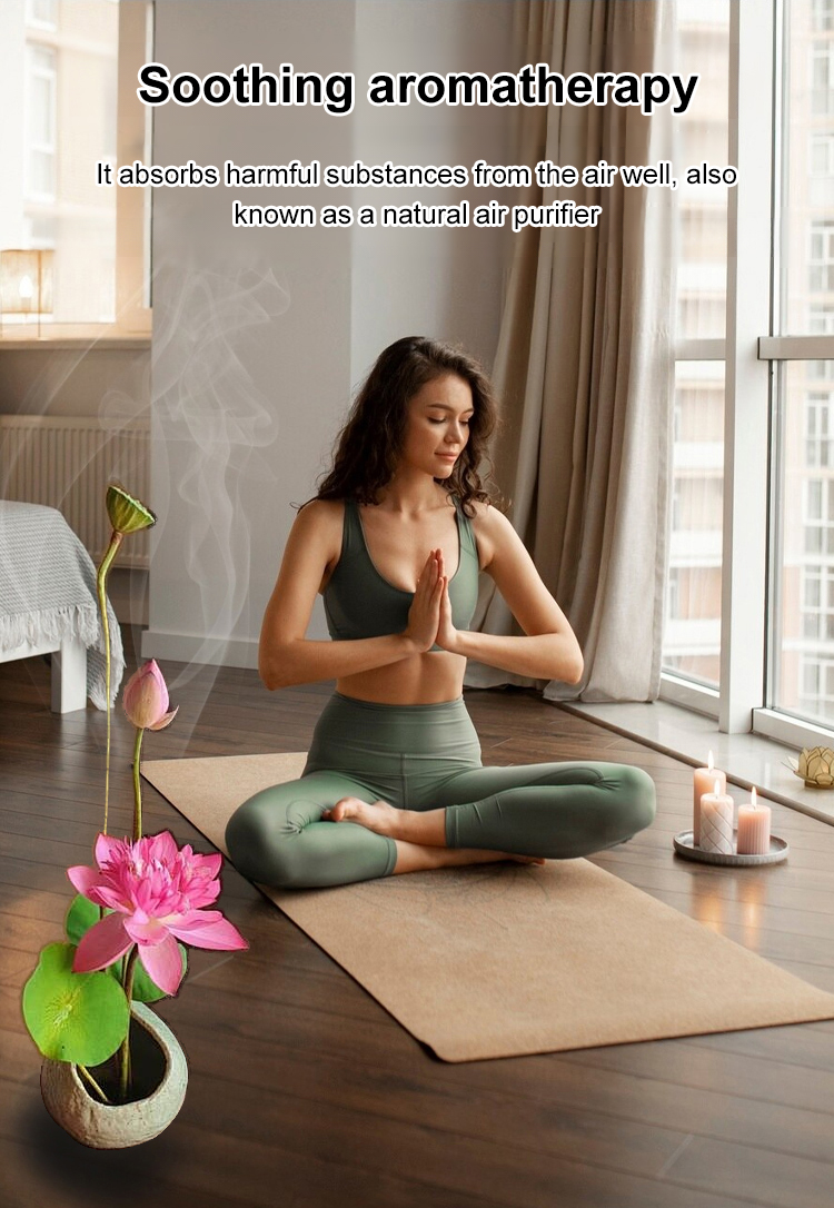 🌸 ПОСЛЕДЕН ДЕН ПРОМОЦИЯ 50% ОТСТЪПКА 🌸 Хидропонен лотос 🌸 | Свеж, лесен и красив (Може да се засажда и през зимата)