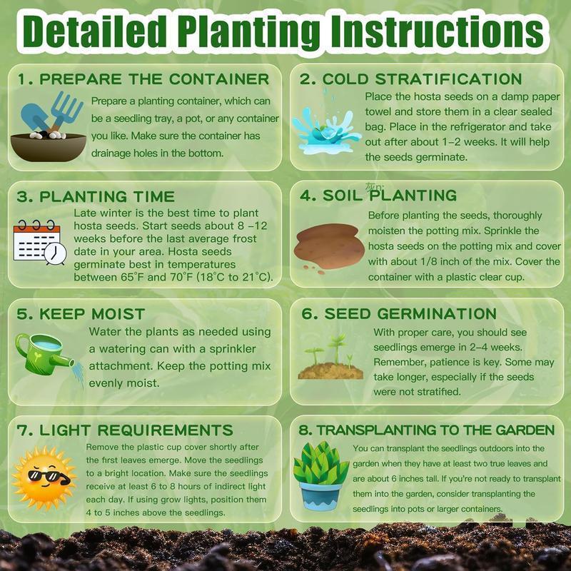 Семена от растение Rainbow Haze