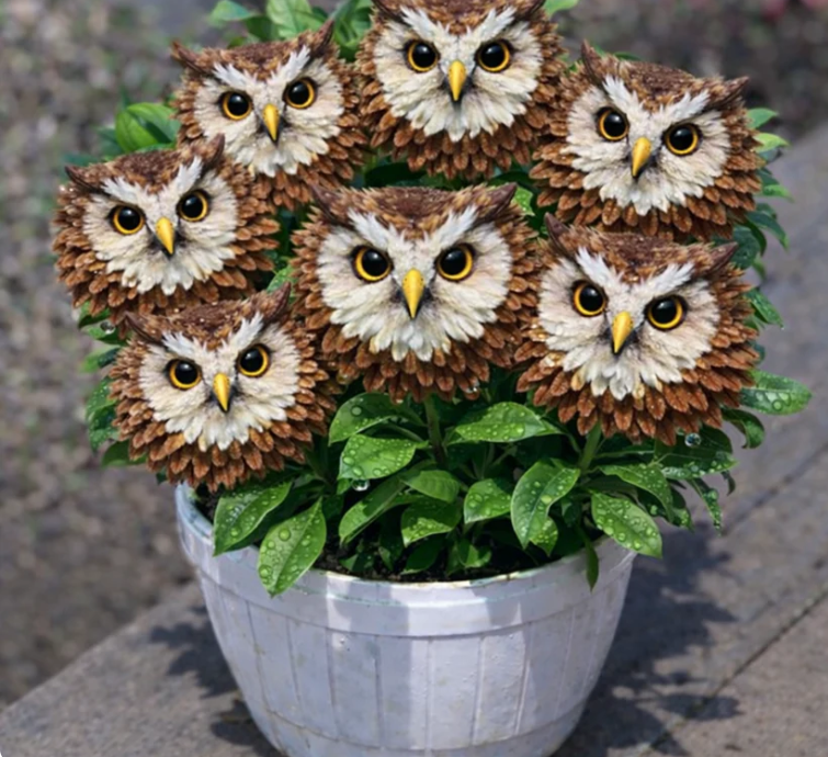 NOVÝ ROK 50 % ZĽAVA! Očarte svoju záhradu! Magické semená kvitnúcich vtákov!