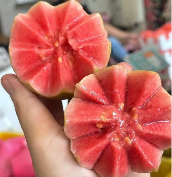 emienka guavy – ľahko pestovateľné ovocné stromy