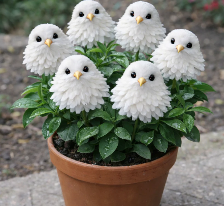 NOVÝ ROK 50 % ZĽAVA! Očarte svoju záhradu! Magické semená kvitnúcich vtákov!