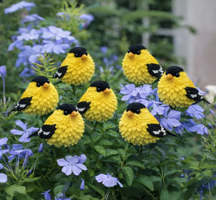 NOVÝ ROK 50 % ZĽAVA! Očarte svoju záhradu! Magické semená kvitnúcich vtákov!