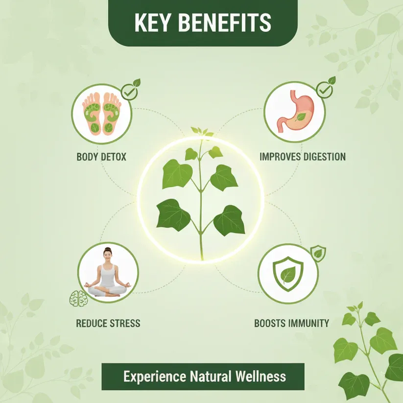 Herbal Giloy Patches 🌿✨ (Buy 1 Get 1 Free🔥🔥)