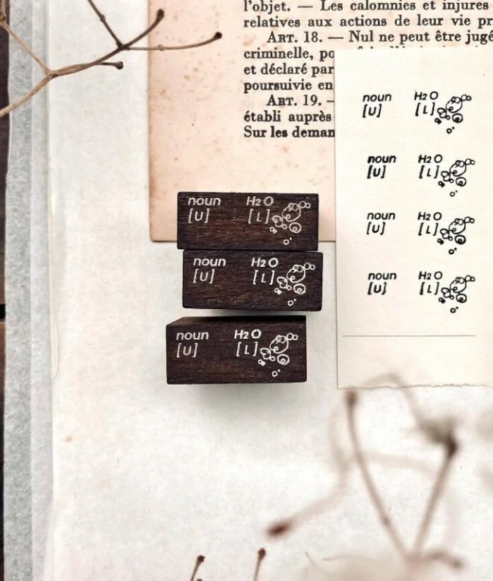 Some Sort of Fern - Stamp - Bubble Flowers Rubber Stamp