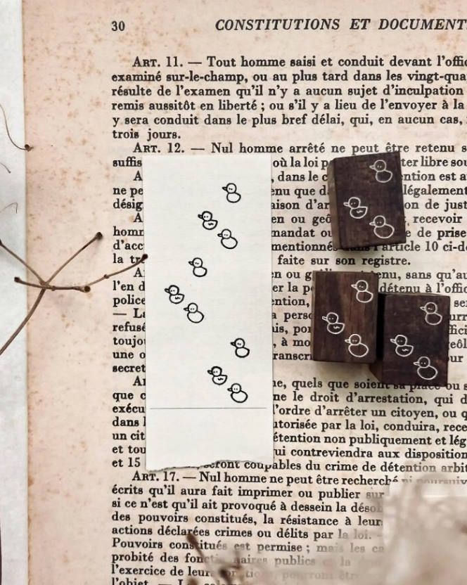 Some Sort of Fern - Stamp - Bubble Flowers Rubber Stamp