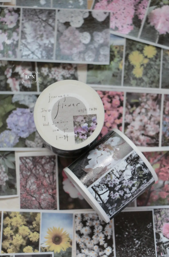 Lin Chia Ning - Tape - Leaf 